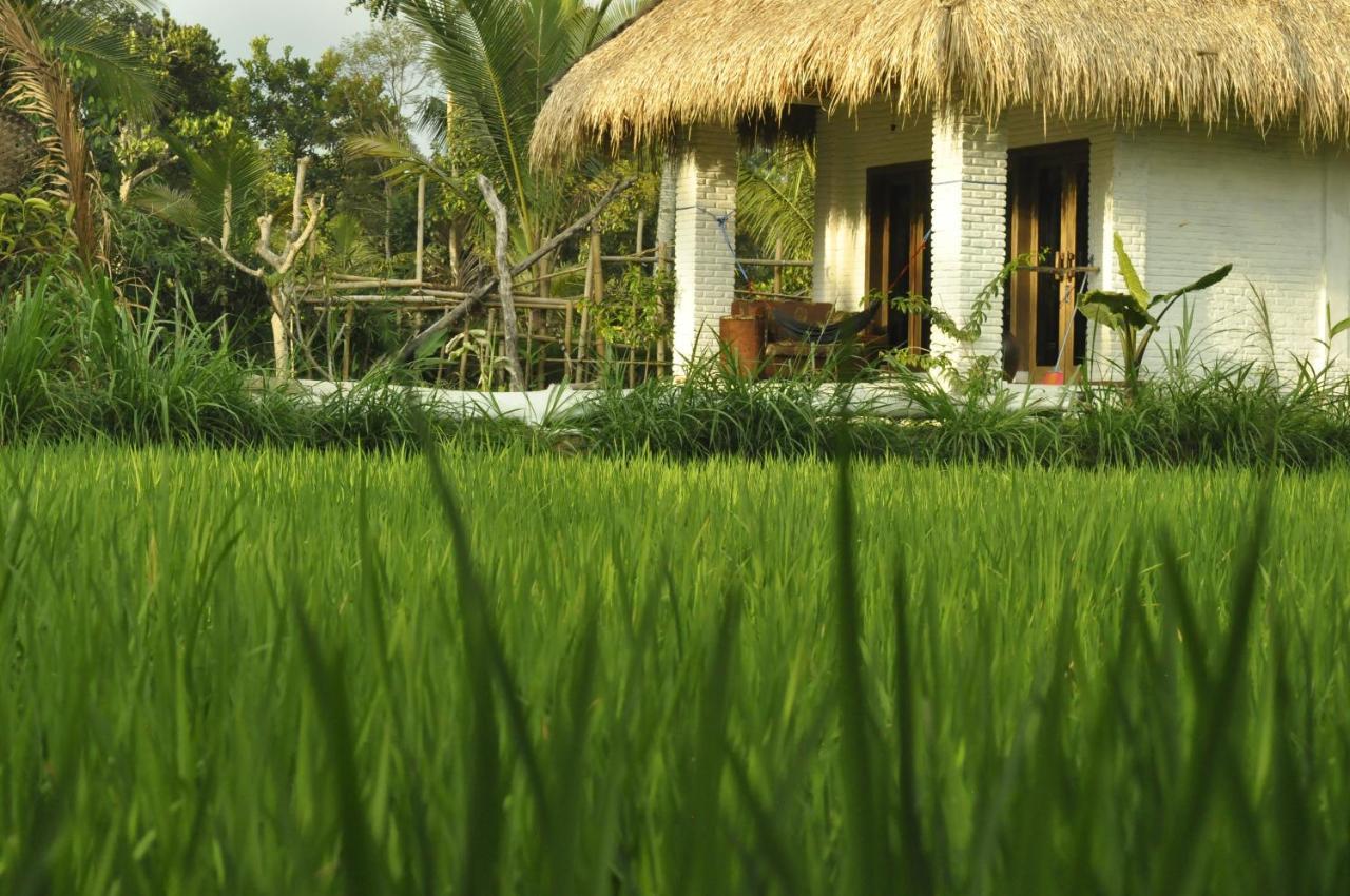 Homestay Mu