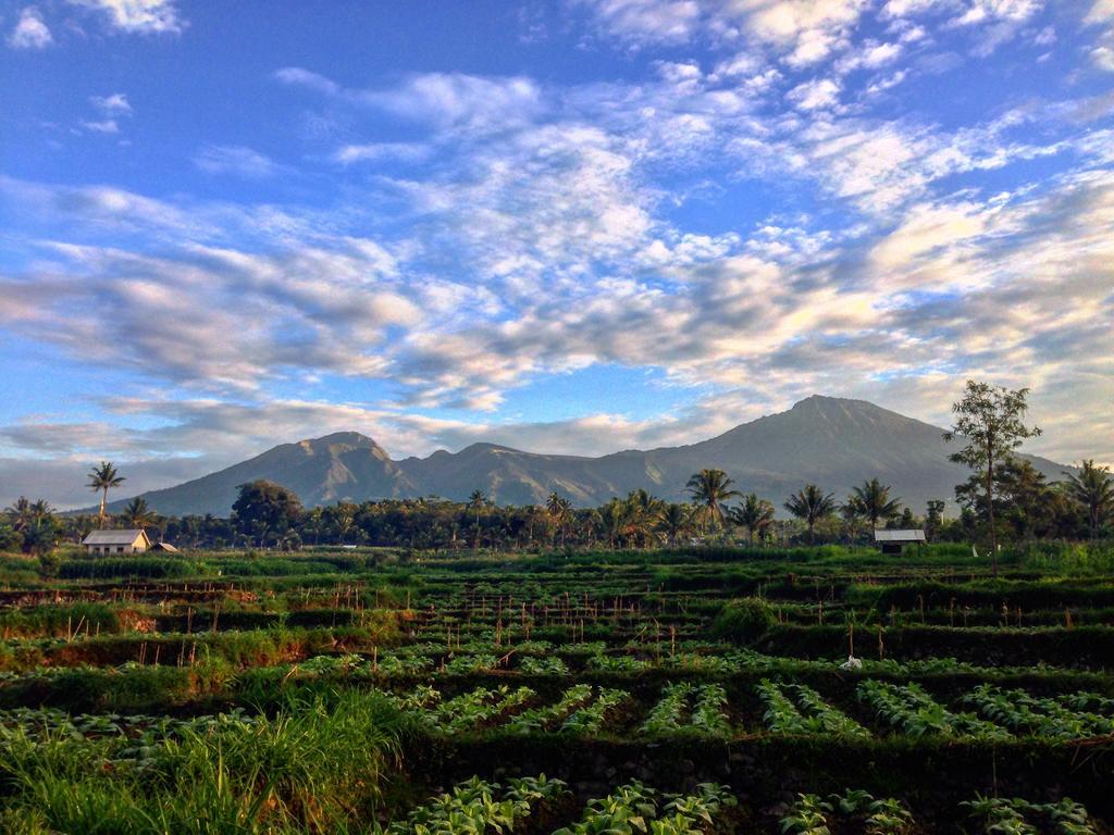 Homestay Mu Tetebatu
