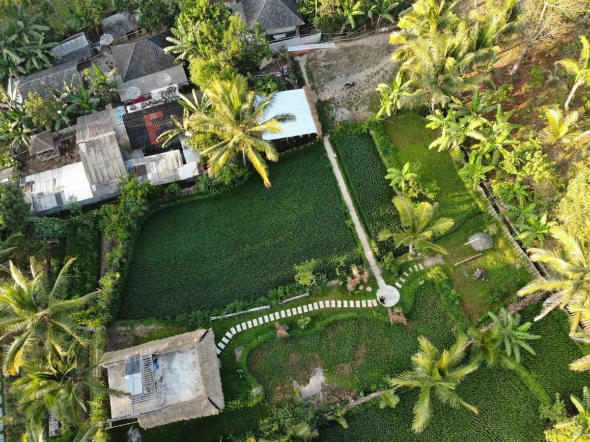 Homestay Mu *